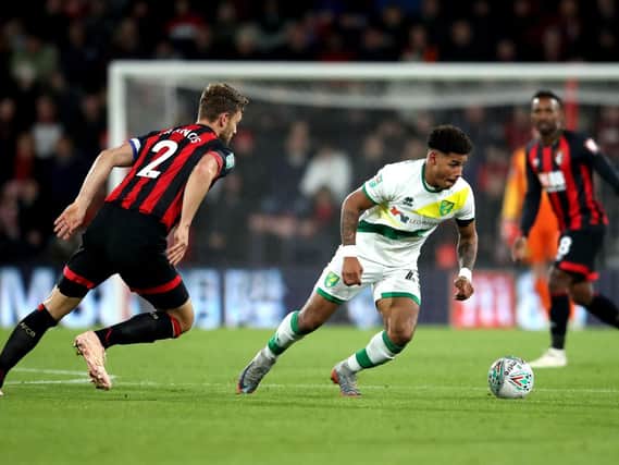 Onel Hernandez has impressed for Norwich this season. Picture: PA