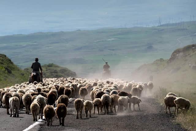 Armenian highway. Picture: Margret Preece