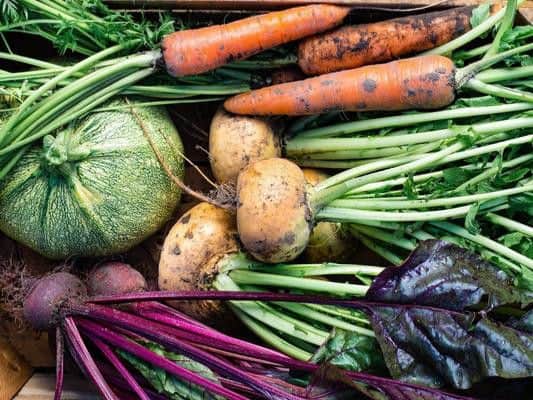 With often a milder, sunnier climate than elsewhere in the UK, the South of England is a great place to grow your own vegetables