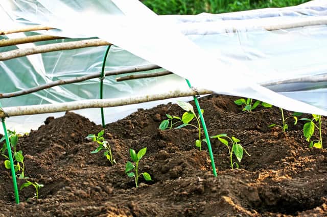 To start planting some seeds the greenhouse should be insulated, says Brian.
