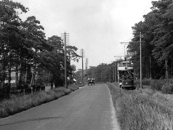 A superb view looking north along London Road, possibly Cowplain, pre-1935. Photo: Barry Cox collection.