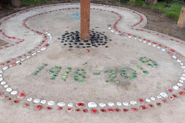 The Poppy Path. Picture: Keith Woodland (020219-1)