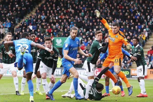 Pompey put the pressure on at Plymouth Picture: Joe Pepler - Digital South