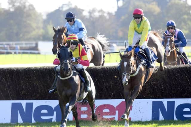 Racing at Fontwell Park can go ahead as planned on Thursday / Picture by Malcolm Wells