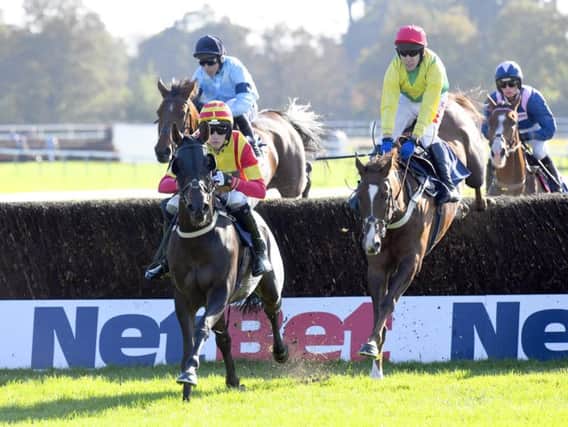 Racing at Fontwell Park can go ahead as planned on Thursday / Picture by Malcolm Wells