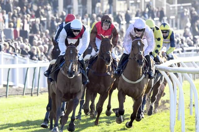 Action at Fontwell is in prospect on Thursday afternoon / Picture by Malcolm Wells