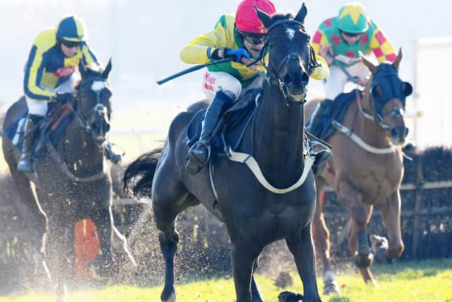 Vision Des Flos, ridden by Tom Scudamore, on the way to National Spirit Hurdle victory at Fontwell / Picture by Malcolm Wells