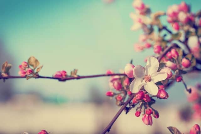 This year, 27 February is set to see a sunny start, but become cloudier later on in the day.
