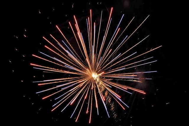 Should the public sale of fireworks be banned? Picture: Sarah Standing (103756-5497)