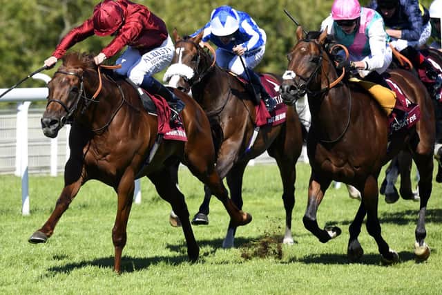 Lightning Spear on his way to winning the 2018 Qatar Sussex Stakes - will the 2019 renewal feature some international stars? Picture by Malcolm Wells