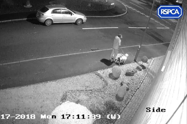 CCTV footage showing a man abandoning Snoop before Christmas. Picture: RSPCA/PA Wire