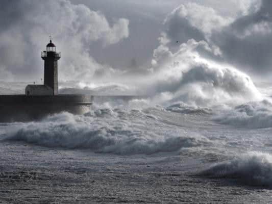 The weather of late has turned wet and windy, with the Met Office issuing yellow weather warnings for wind to the south of England.