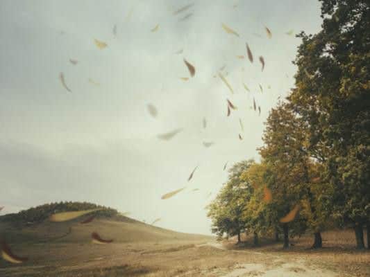 The weather of late has turned wet and windy, with the Met Office issuing new yellow weather warnings for wind to the south of England.