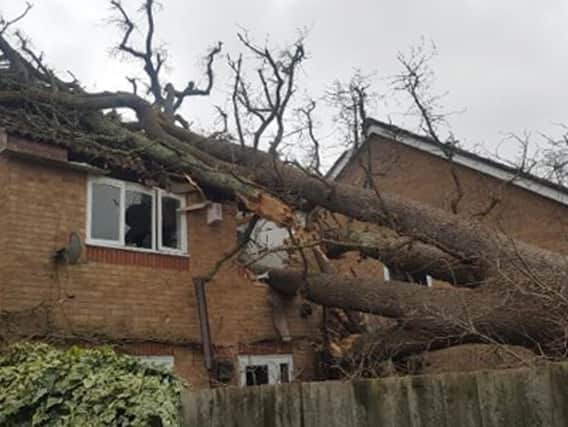 A large oak tree fell in strong winds and crashed onto a house in Bewbush, near Crawley. Picture: Crawley Fire Station/PA Wire