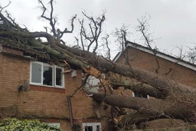 A large oak tree fell in strong winds and crashed onto a house in Bewbush, near Crawley. Picture: Crawley Fire Station/PA Wire