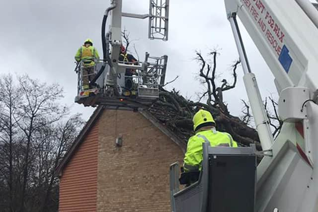 A man has suffered a head injury as a result of the tree toppling over. Picture: Crawley Fire Station/PA Wire