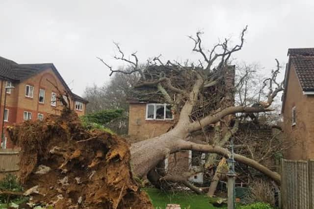 Met Office has issued a yellow weather warning for wind across the region. Picture: Crawley Fire Station/PA Wire