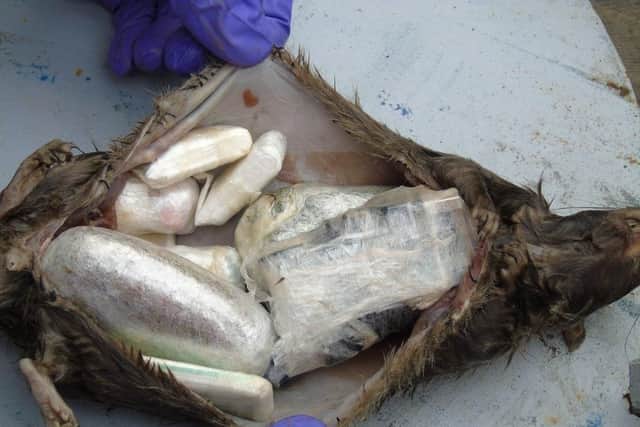 A dead rat which was stuffed with drugs, mobile phones, chargers and SIM cards stuffed inside a dead rat. Picture: Ministry of Justice/PA Wire