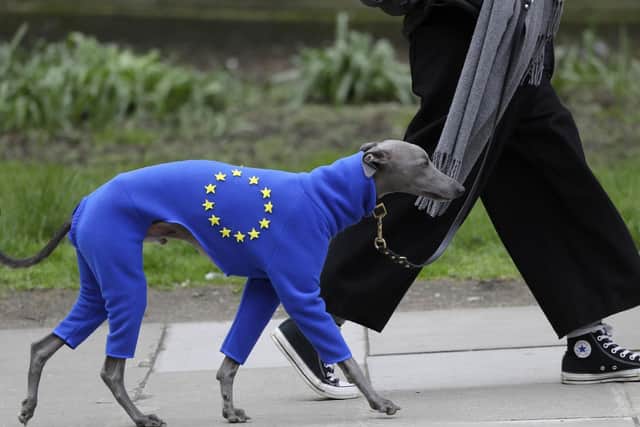 MPs will debate a petition calling for Article 50 to be revoked. Picture: AP Photo/Kirsty Wigglesworth