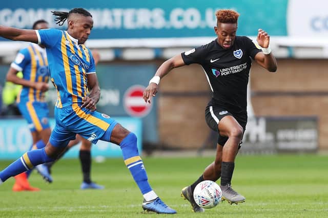 Jamal Lowe in action against Shrewsbury. Picture: Joe Pepler