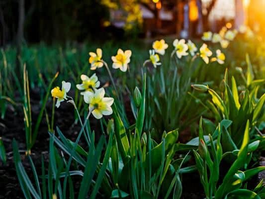 Easter will be shortly upon us, but with the bank holiday weekend just around the corner what is the weather set to be like in the South?