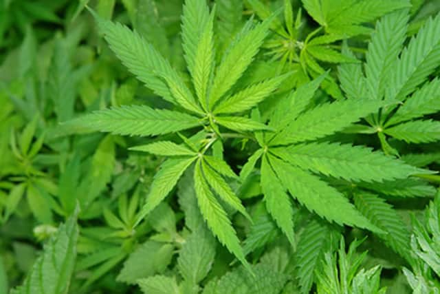Today is 420