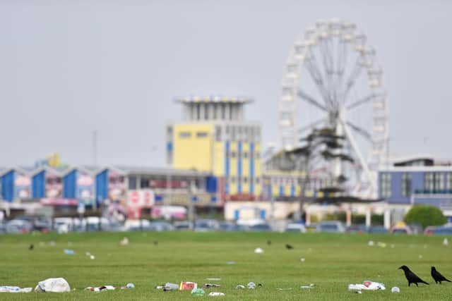 Birds forage amongst the rubbish on Southsea Common this morning. Photo: Morten Watkins/Solent News & Photo Agency
