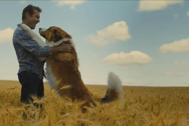 Dennis Quaid as Ethan Montgomery in A Dog's Journey.