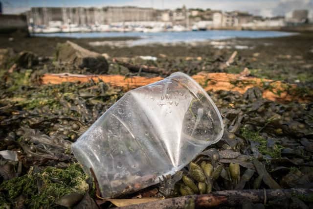 Plastic rubbish washed up on the south coast