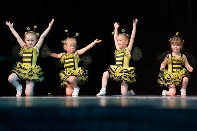 A hundred 3 and 4 year old children from babyballet Chichester and South Hants performed Twinkle and Teddys Grand Adventure in two shows to over 500 people at Ferneham Hall.experience with many making their stage debut.  Plentiful proud and happy tears were shed by delighted parents and grandparents in the audience.