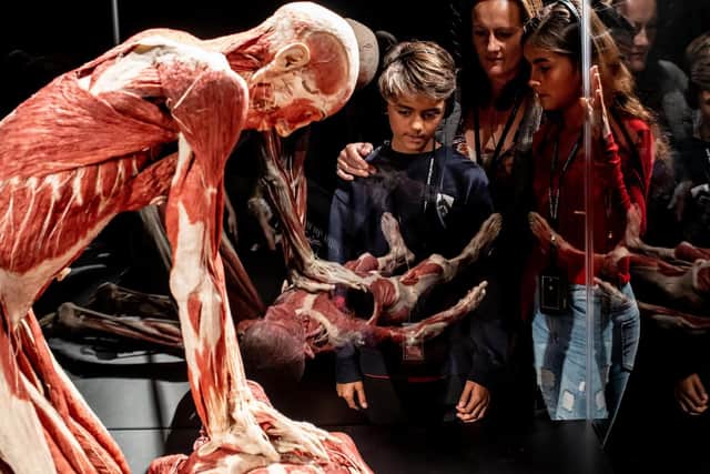 Body Worlds in London. Picture: Jeff Moore