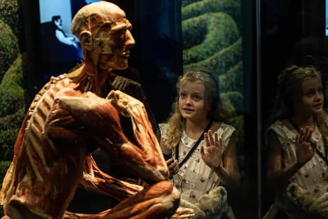 Body Worlds in London. Picture: Jeff Moore