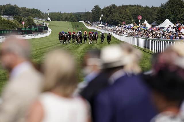Goodwood is set to welcome a raft of international runners. Picture: Alan Crowhurst/Getty Images