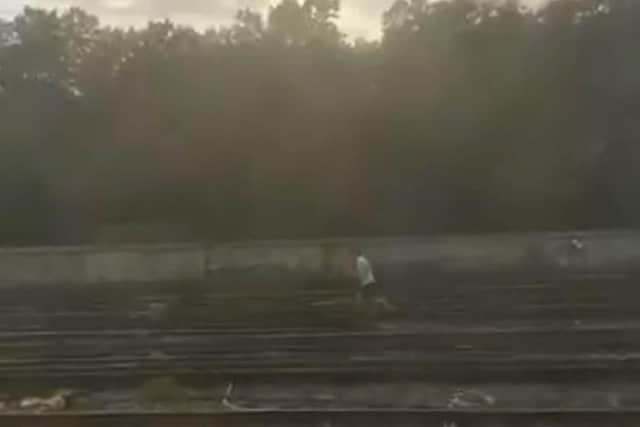 A man on the railway tracks outside Waterloo station, London, looking for his dog. Picture: @benburns01/PA Wire