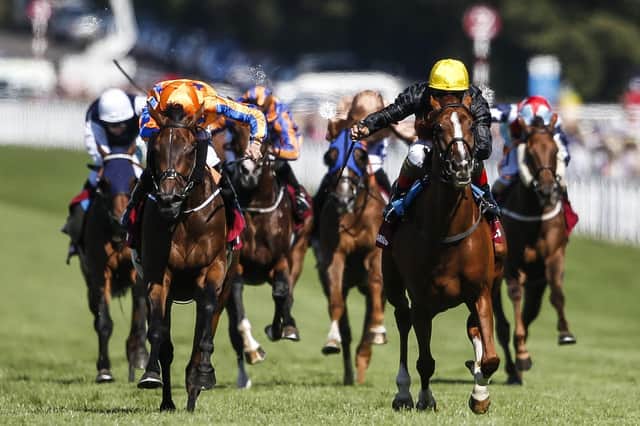 Stradivarius, right, beats Torcedor to victory in the Goodwood Cup last summer. Picture: Alan Crowhurst/Getty Images