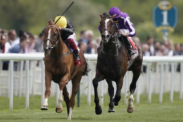 Southern France, right, runs Stradivarius close in the Yorkshire Cup this season. Picture: Alan Crowhurst/Getty Images