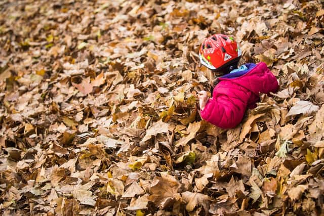 When does autumn start? (Photo credit should read FRANK RUMPENHORST/AFP/Getty Images)