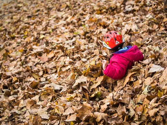 When does autumn start? (Photo credit should read FRANK RUMPENHORST/AFP/Getty Images)