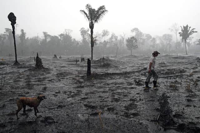 The Amazon Forest has been on fire for weeks. Picture: CARL DE SOUZA/AFP/Getty Images.