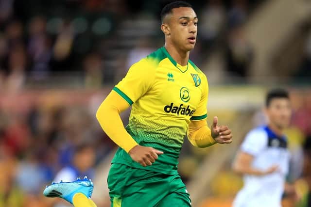 Norwich youngster Adam Idah  Picture: Stephen Pond/Getty Images