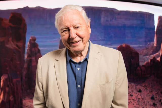 Sir David Attenborough

Credit: David Parry/PA Wire