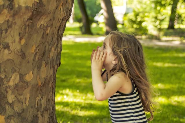 'Good morning Mr Tree. How are you this fine morning?'