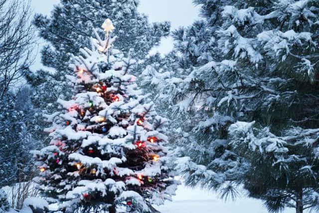 Everything looks a little bit more festive with a little bit of snow. Picture: Shutterstock