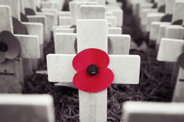Respectful remembrance or partisan war-mongering? The debate continues. Picture: Shutterstock