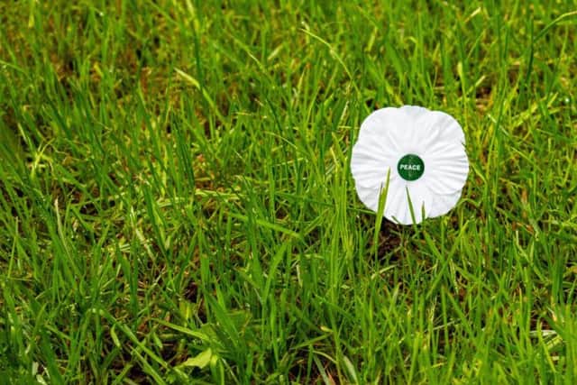 Even the white poppy, designed as a symbol of peace, has come under fire in recent times. Picture: Shutterstock