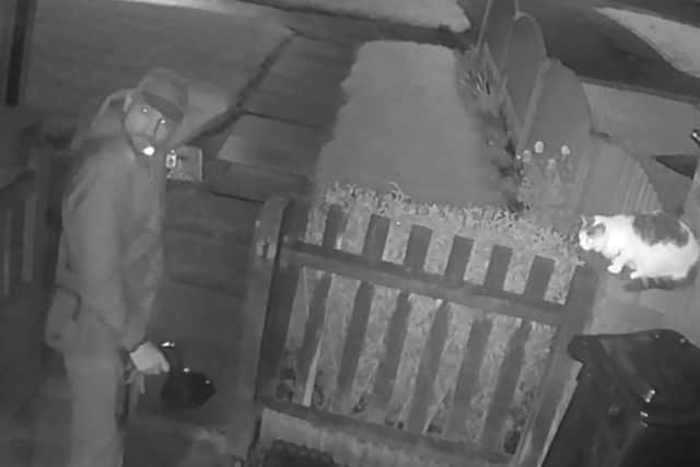CCTV footage shows a man deliberately set his dog on a pet cat. Picture: RSPCA/PA Wire