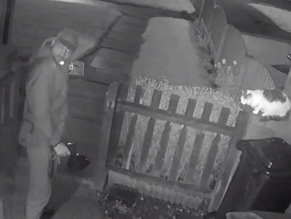 CCTV footage shows a man deliberately set his dog on a pet cat. Picture: RSPCA/PA Wire