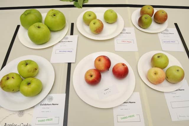 HORTI SHOW HAYLING (NEWS) MRW 6/9/2014
The Hayling Island Horticultural Society 'Main Summer Show' was held at the Hayling Island Community Centre on Saturday afternoon
Classes 84 & 85 Apples-Cooking and Apples Dessert
Picture: Malcolm Wells (142586-7540) PPP-140709-102031003