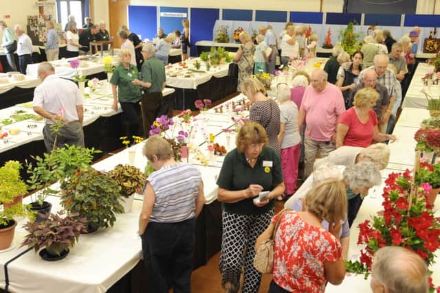 The Hayling Island Horticultural Society Main Summer Show.
Picture: Malcolm Wells (142586-7553)
