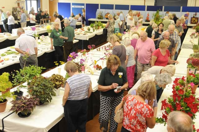 The Hayling Island Horticultural Society Main Summer Show. 

Picture: Malcolm Wells (142586-7553)